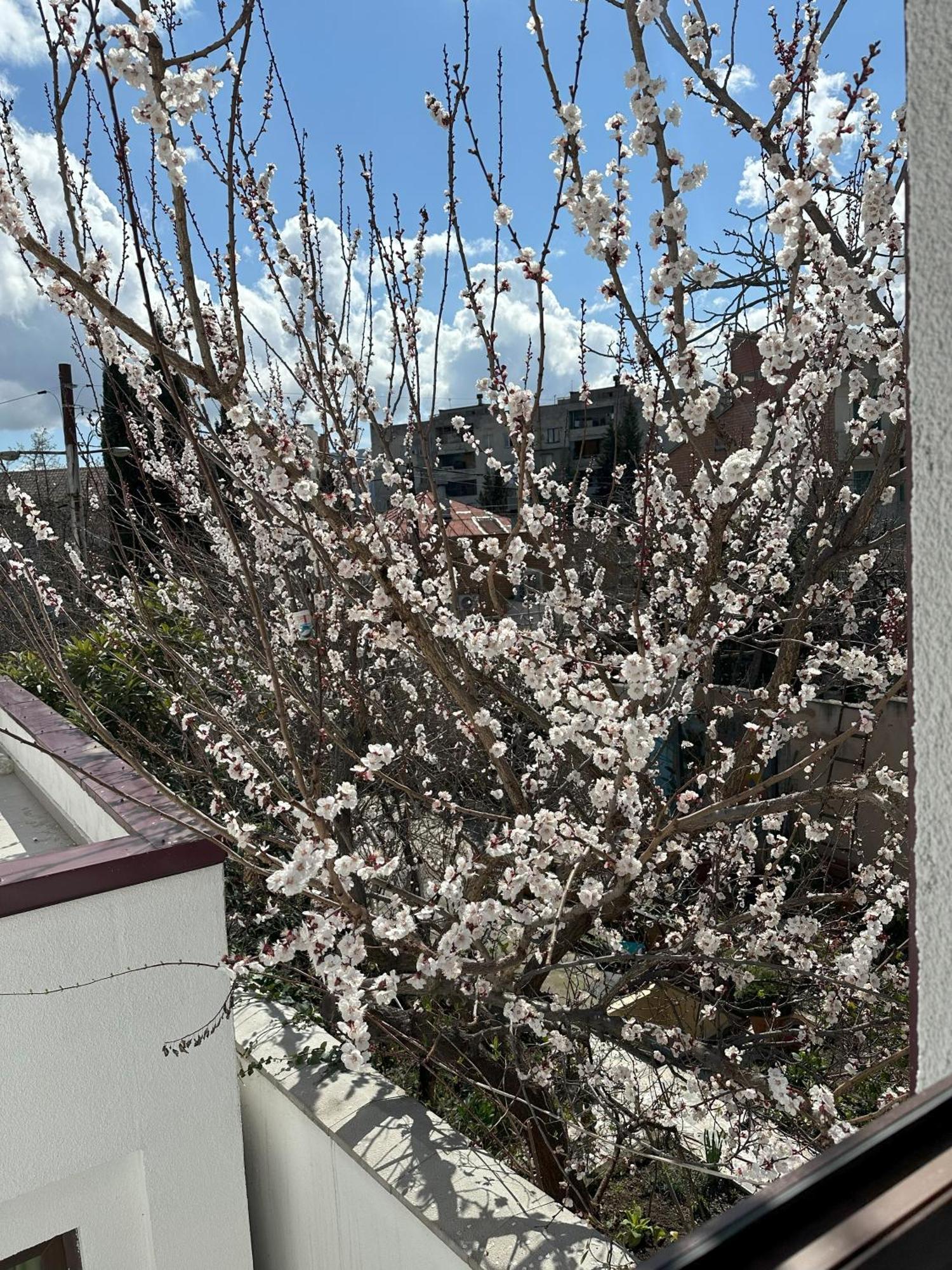 Three Palms Guest House 트빌리시 외부 사진