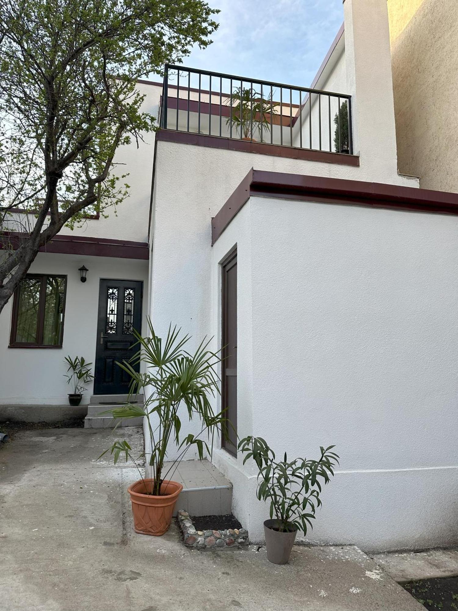 Three Palms Guest House 트빌리시 외부 사진